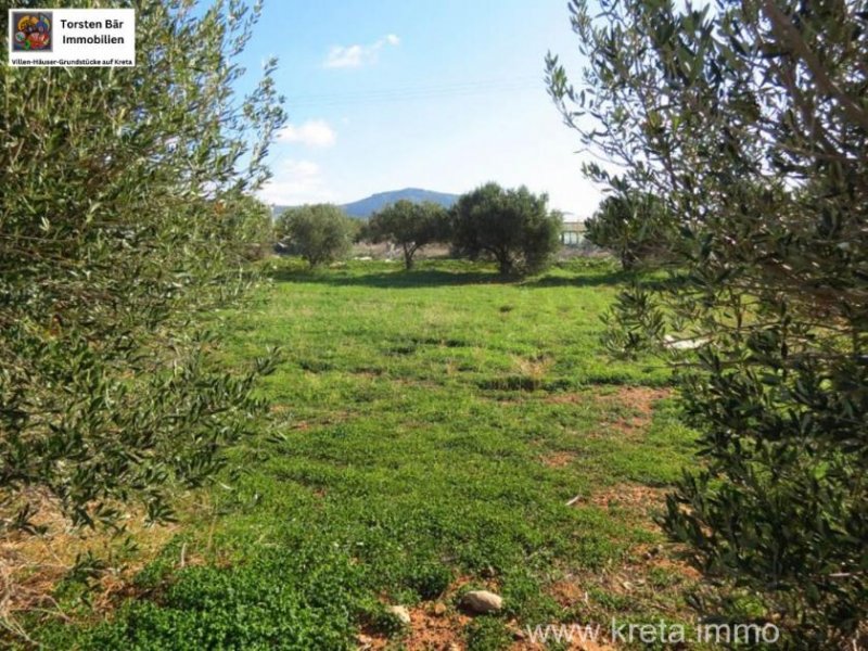 Makri-Gialos Kreta, Makri-Gialos, Grundstück innerhalb des Stadtgebiets zu verkaufen Grundstück kaufen